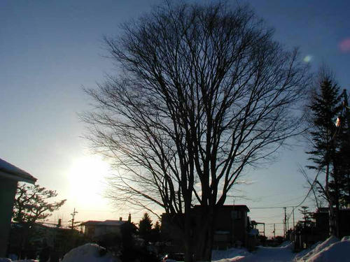 389215ec.jpg