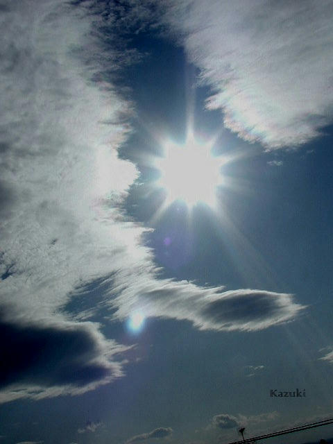 b63ae677.jpg