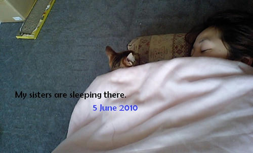 20100605-.jpg