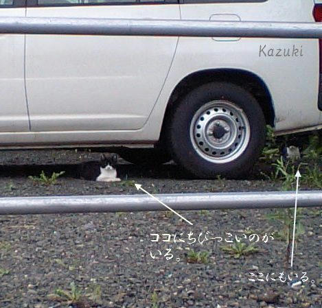 47ac9852.jpg