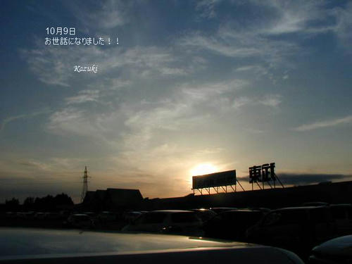 60183065.jpg