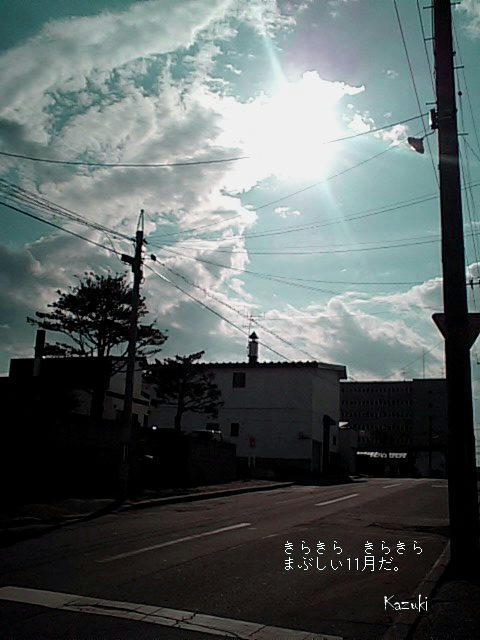 20101104.jpg
