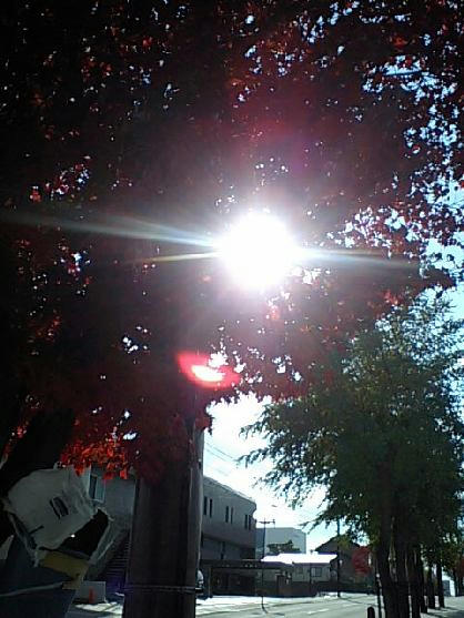 20101104-2.jpg