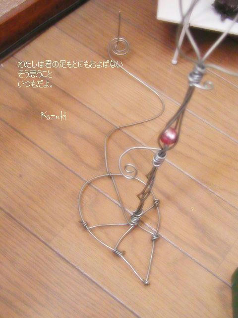 5c4b7439.jpg