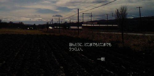 20101204-1.jpg