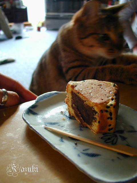 20101205-3.jpg