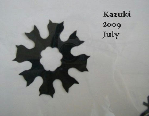2a63890c.jpg