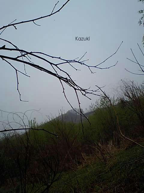fd534119.jpg