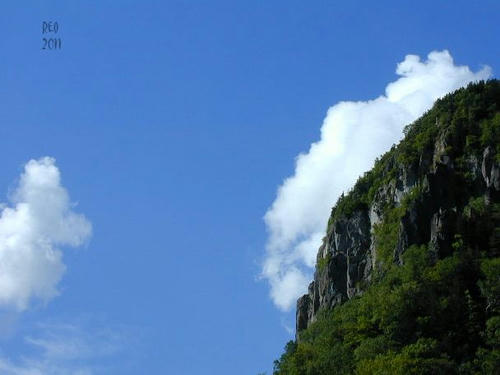 d2c68cde.jpg