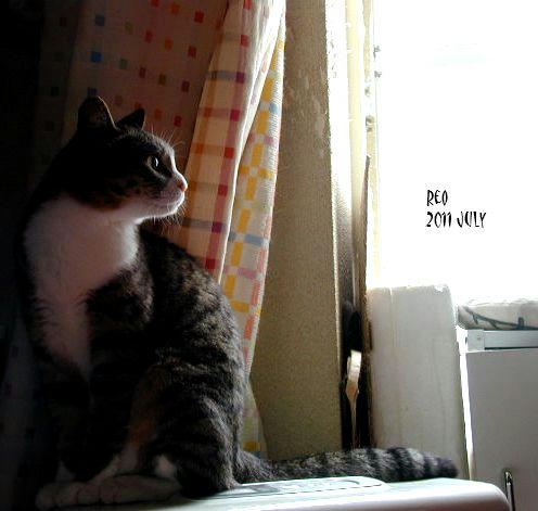 2f8742aa.jpg
