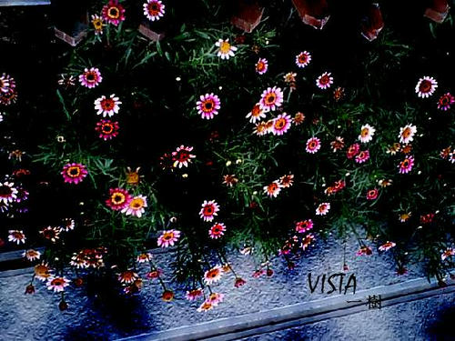 d78ba64a.jpg