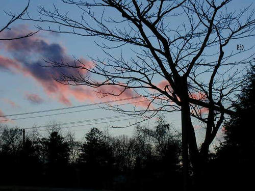 201202.jpg