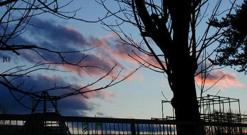 201203.jpg