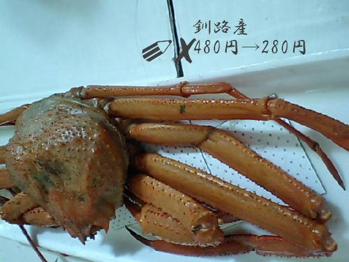 CA380314.jpg