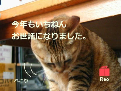20121231.jpg