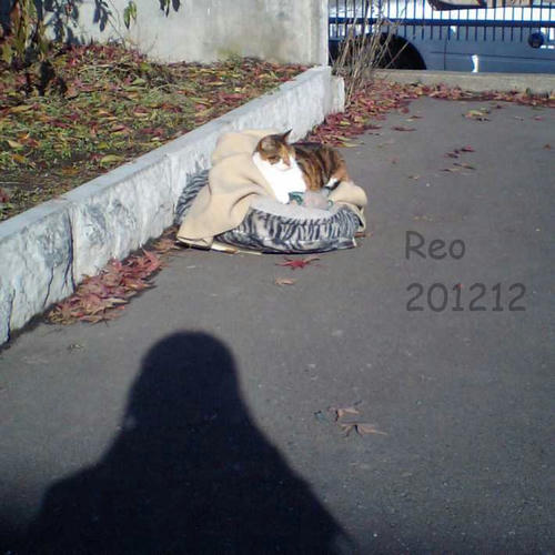 201212-2.jpg