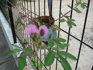 IMG_1902.JPG