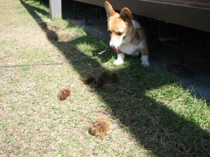 IMG_2045.JPG