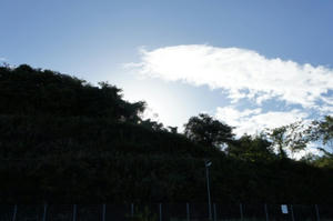 DSC00126.JPG