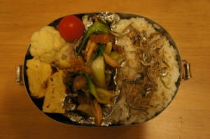 DSC00529.JPG