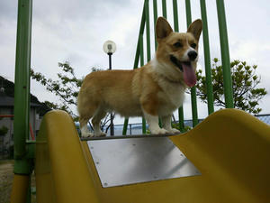 20120911_060745.jpg