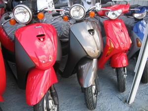 20100424-1.jpg