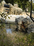 天王寺動物園