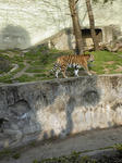天王寺動物園