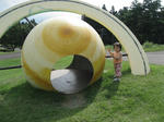 IMG_7117.jpg