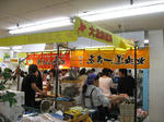 IMG_7979.JPG