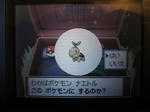 a1477752.jpeg