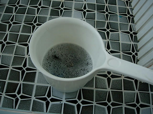 DSCN3929.JPG