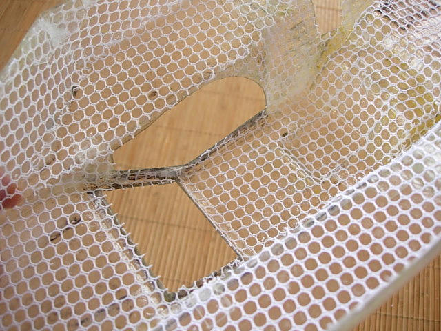 DSCN8438.JPG