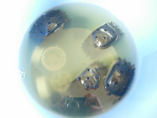 DSCN9732.JPG