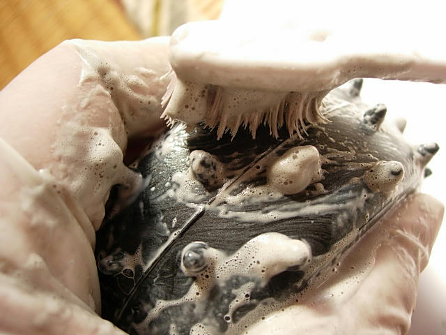DSCN9833.JPG