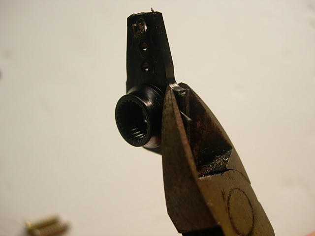 DSCN0890.JPG