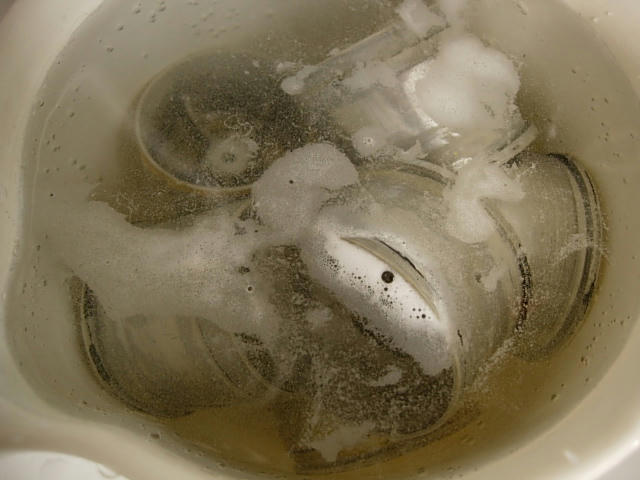 DSCN7251.JPG