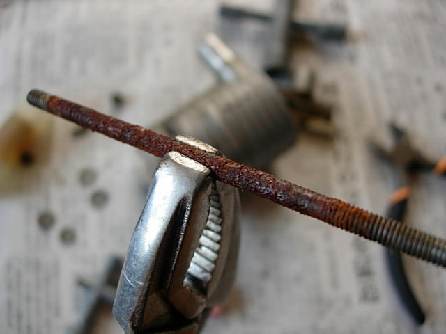 DSCN9225.JPG