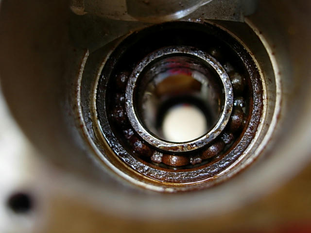 DSCN9352.JPG