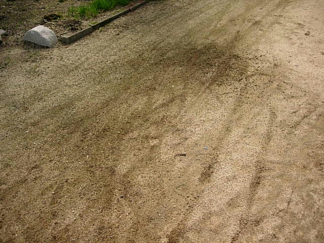DSCN0892.JPG