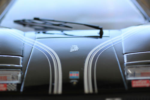 aIMG_5866.jpg