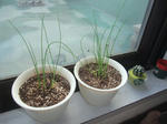 DSCF1306.JPG