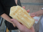 DSCF1508.JPG