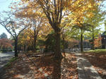 DSCF1553.JPG