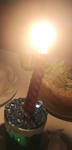 DSCF1718.JPG