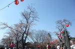 DSCF2271.JPG