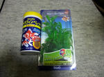 DSCF2370.JPG
