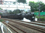 DSCF2498.jpg