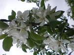 IMGP1229.JPG