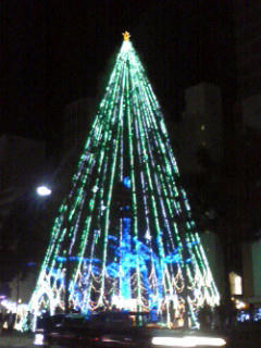 tree.jpg